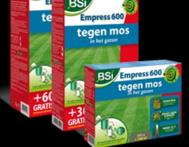 Disaghor groen