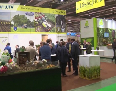 Disaghor landbouw